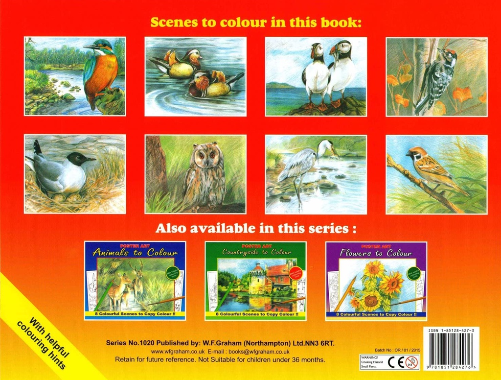 Kleurboek 30X23Cm, 8 in te kleuren prenten, Birds to colour