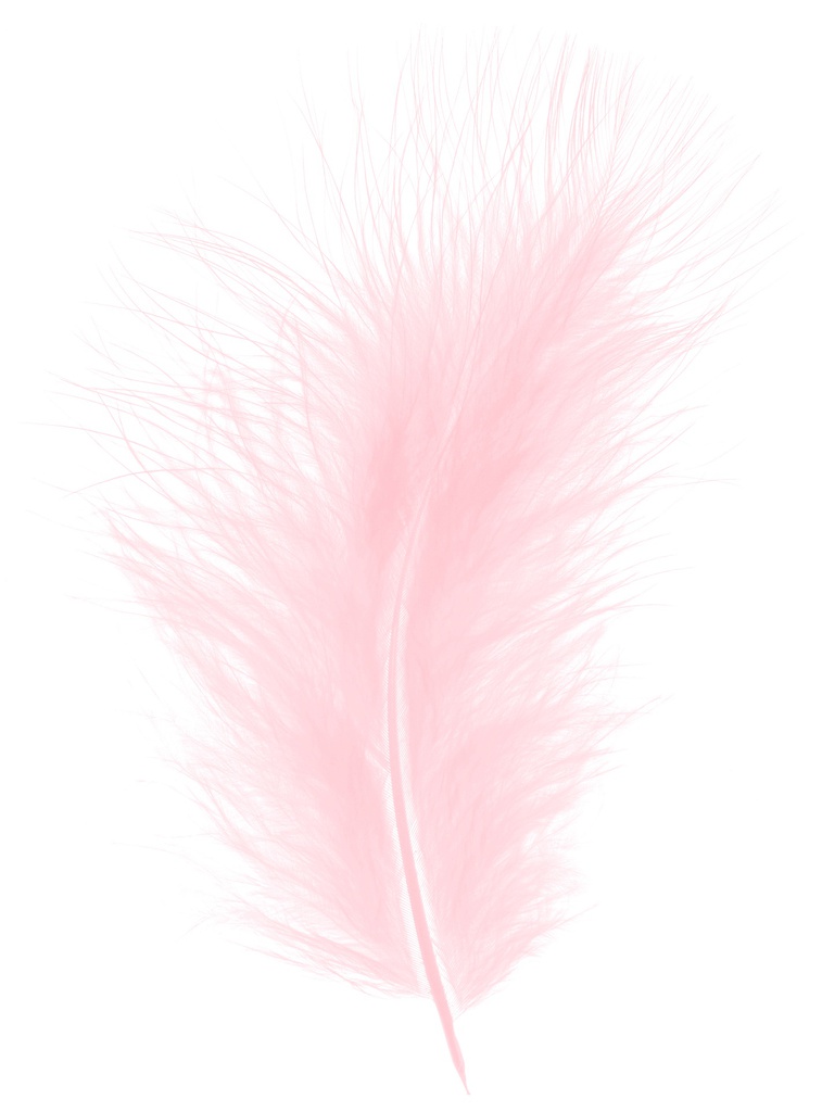 Bloemenveren donzig Baby Roze, 20gr