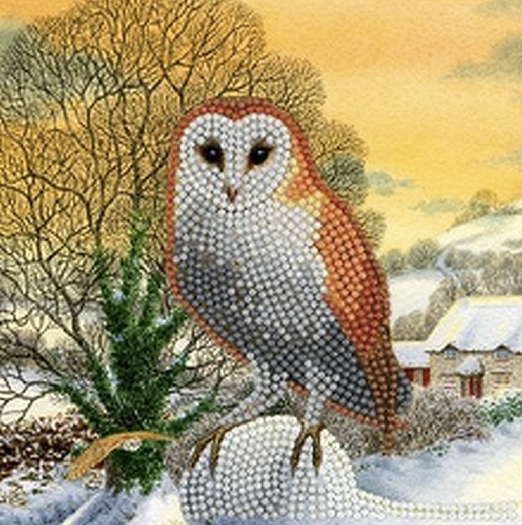 Crystal Card Kit ® Diamond Painting 18x18cm, Winter Owl