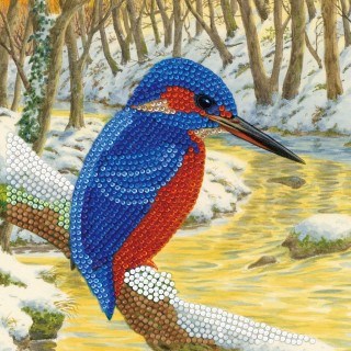 Crystal Card Kit ® Diamond Painting 18x18cm, Woodpecker