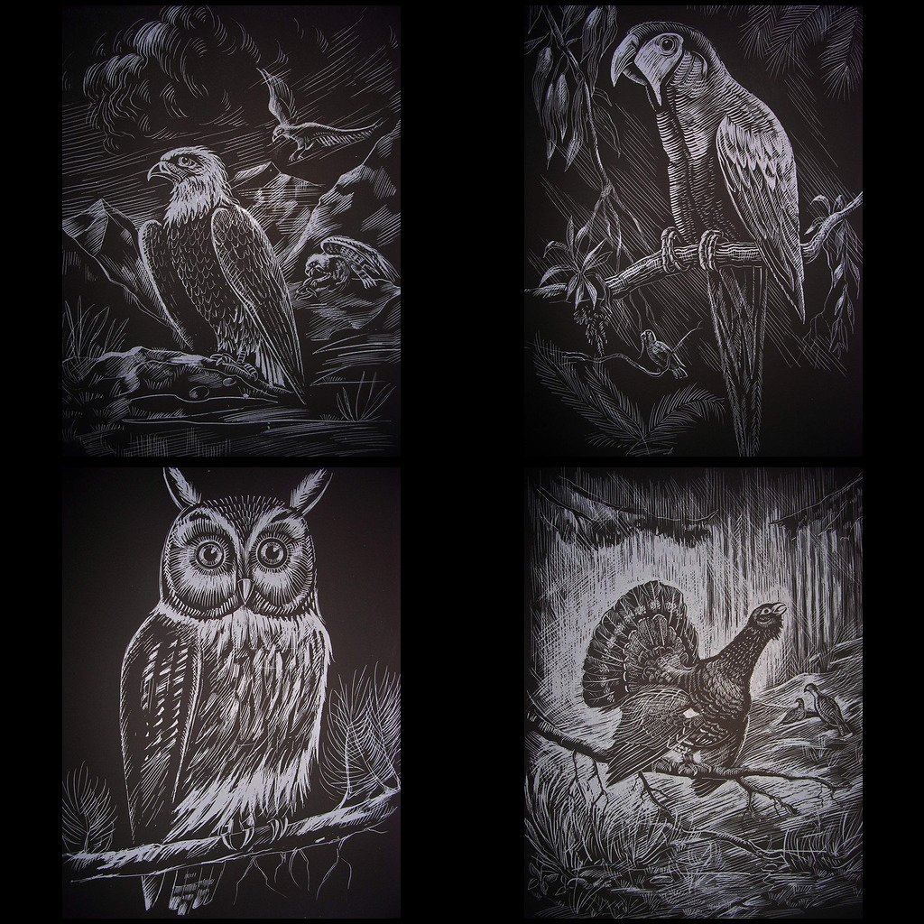 Scrapy graveerset, 4 x A4, inclusief pen, Nachtvogels