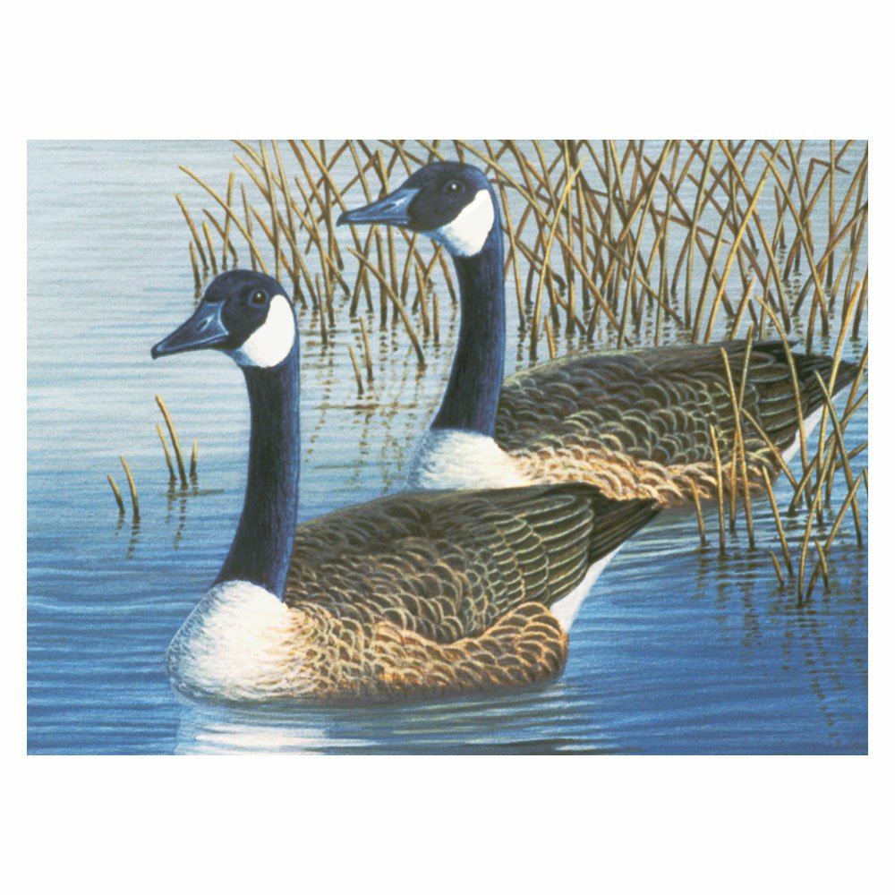 Painting by Numbers 286x390mm Volw, Geese