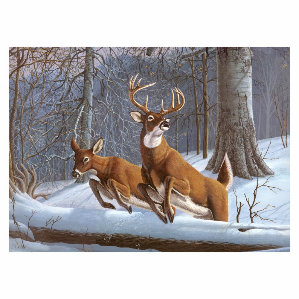 Painting by Numbers 286x390mm Volw, White Tails