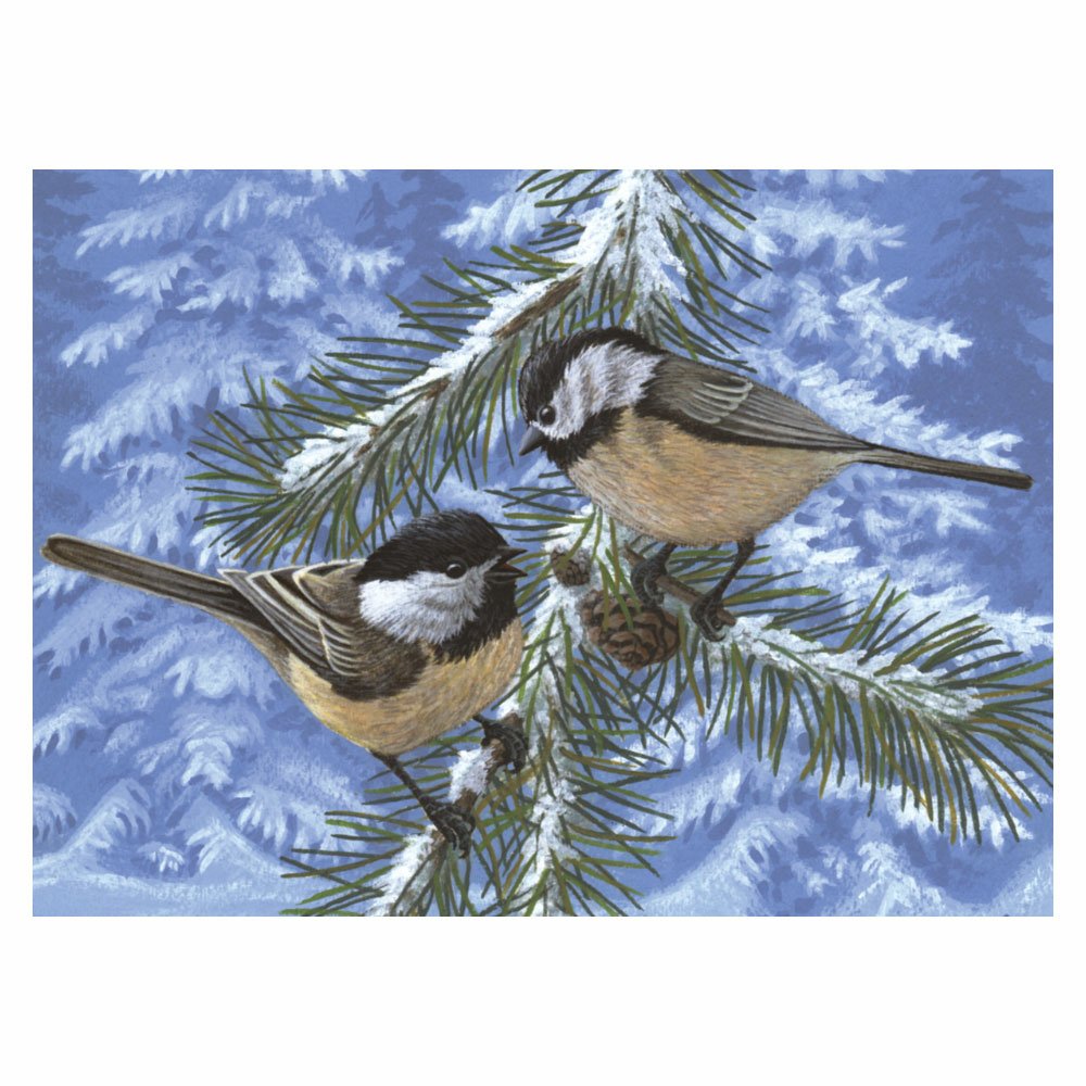 Painting by Numbers 286x390mm Adult, Pine Birds