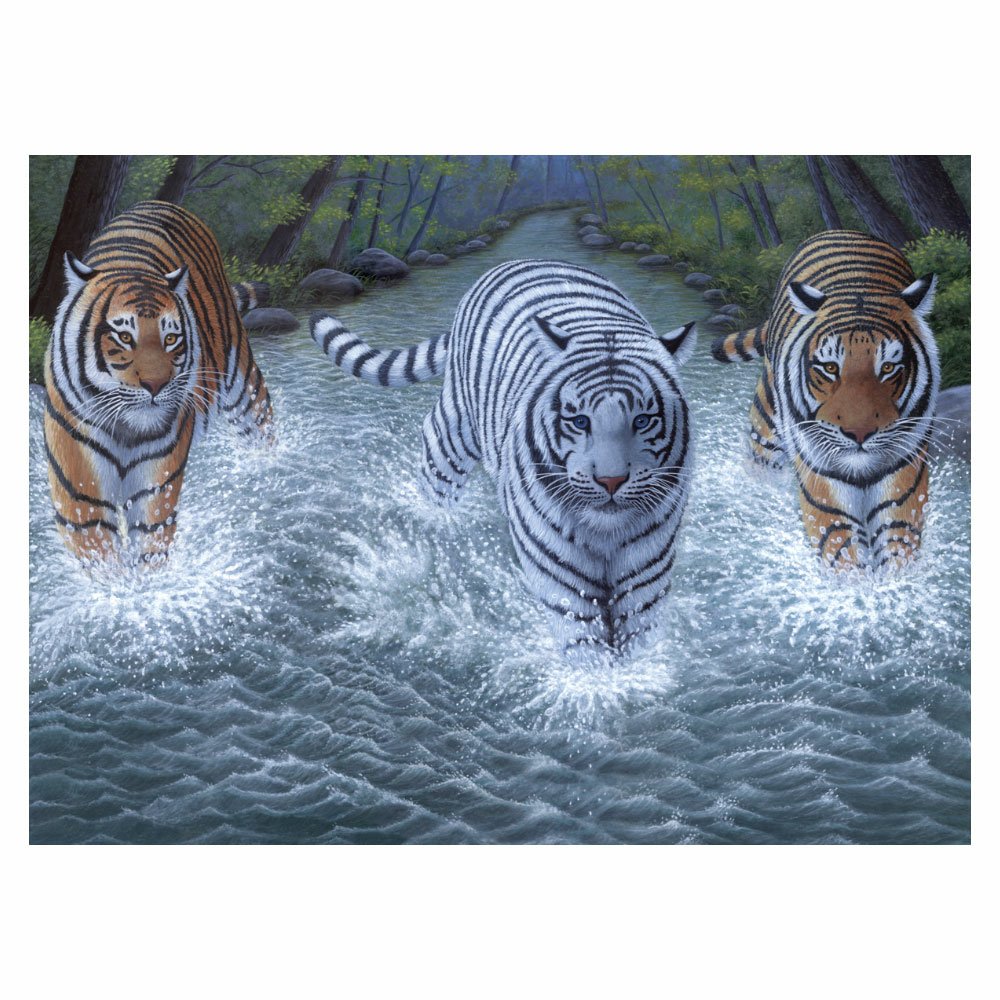 Painting by Numbers 286x390mm, Three Tigers