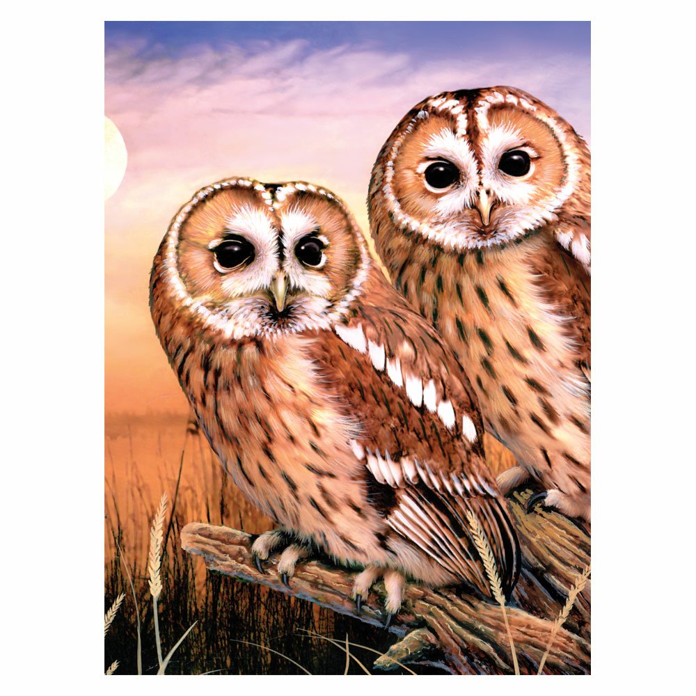 Painting by Numbers 225x305mm, Tawny Owls