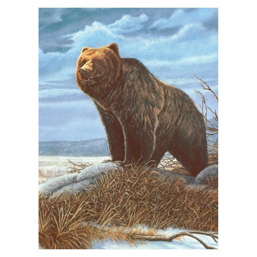 Painting by Numbers 225x305mm, Grizzly Bear