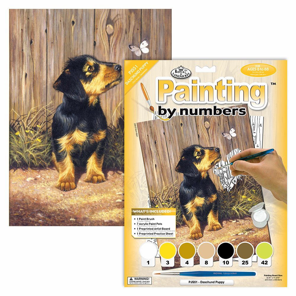 Painting by Numbers 225x305mm, Dachshund Puppy