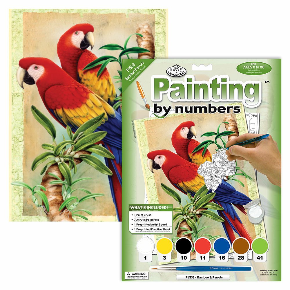 Painting by Numbers 225x305mm, Bamboo Parrots
