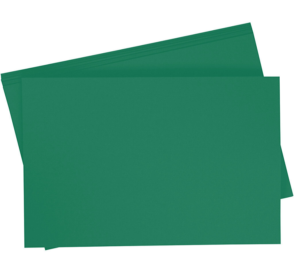 Carton photomontage 300g/m², 50x70cm, 10 feuilles, vert sapin (58)