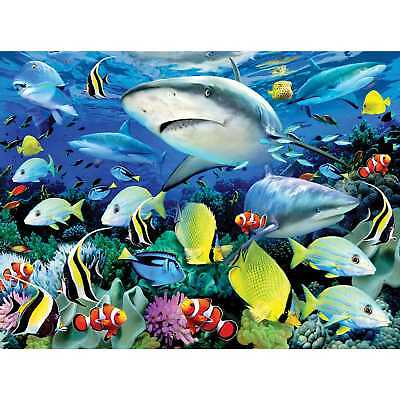 Painting by Numbers 286x390mm, Reef Sharks