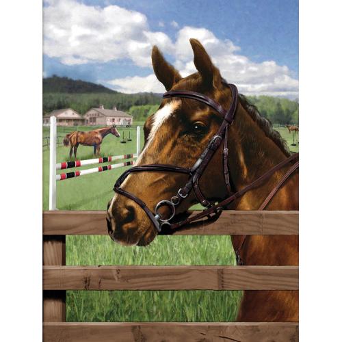 Painting by Numbers 225x305mm, Equine Paddock