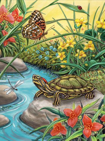 Painting by Numbers 225x305mm, Red Eared Slider