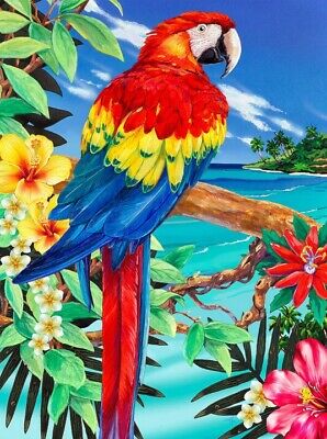 Painting by Numbers 225x305mm, Scarlet Macaw