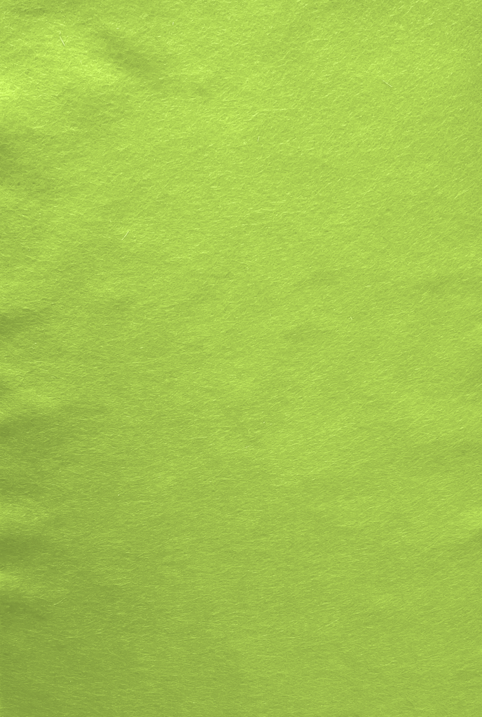 Feutre de bricolage (40% laine), plaquette 20cm x 30cm, épaisseur 1,5mm, Vert clair