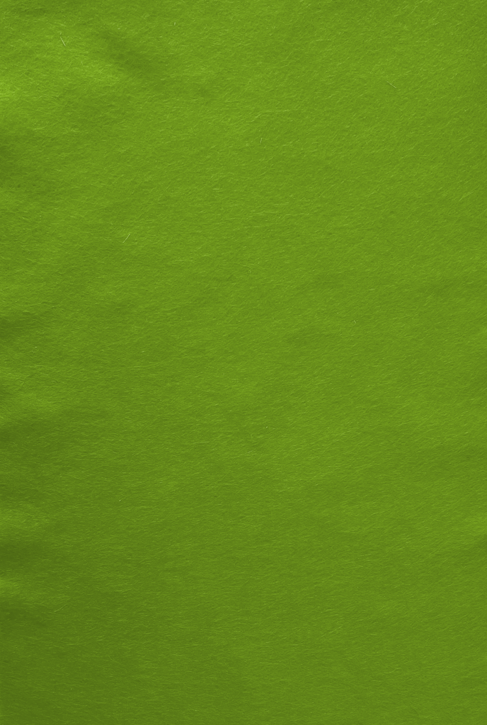 Feutre de bricolage (40% laine), plaquette 20cm x 30cm, épaisseur 1,5mm, Vert clair