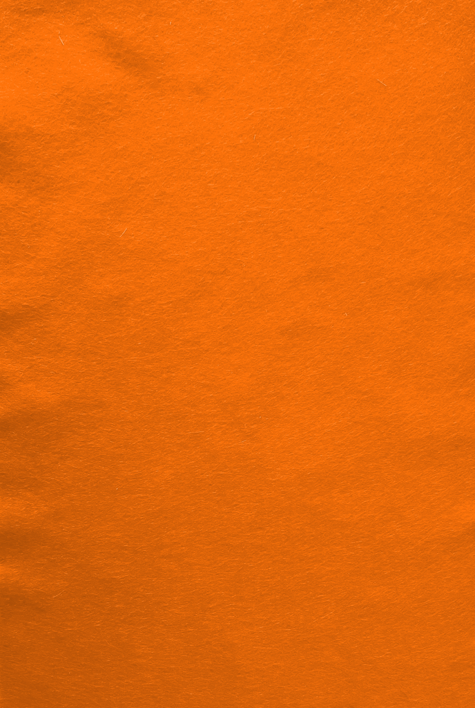 Feutre de bricolage (40% laine), plaquette 20cm x 30cm, épaisseur 1,5mm, Orange