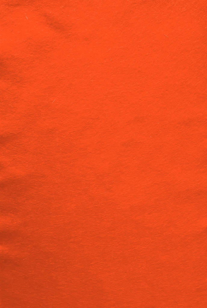 Feutre de bricolage (40% laine), plaquette 20cm x 30cm, épaisseur 1,5mm, Rouge clair