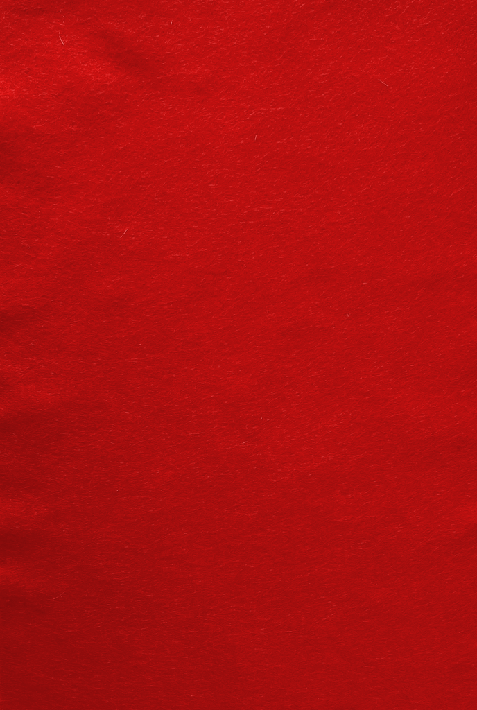 Feutre de bricolage (40% laine), plaquette 20cm x 30cm, épaisseur 1,5mm, Rouge