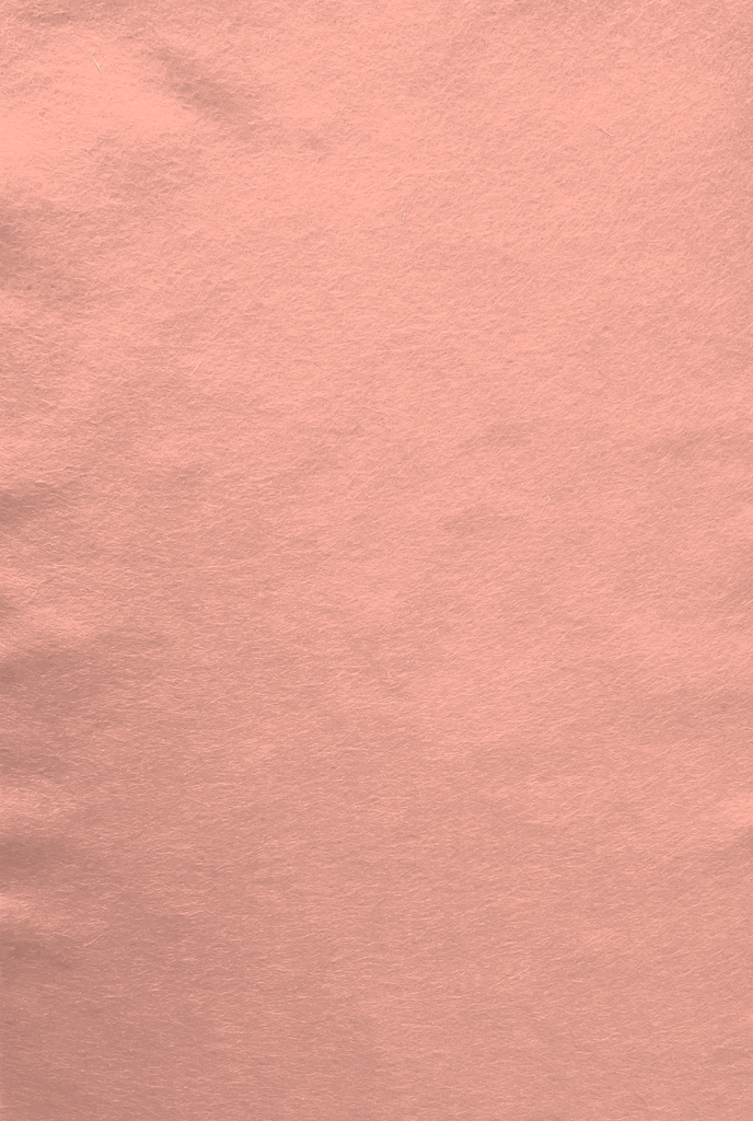 Feutre de bricolage (40% laine), plaquette 20cm x 30cm, épaisseur 1,5mm, Peau