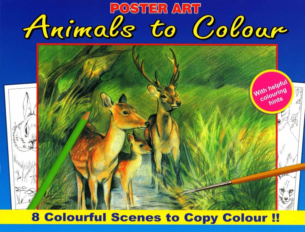 Kleurboek 30x23 cm, 8 in te kleuren prenten, "Forest Animals"
