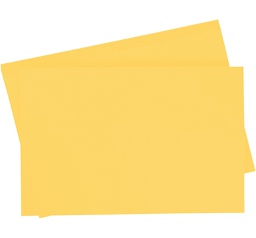 [065799#65] Folia Tekenpapier gekleurd, 10 vellen, 50 x 70cm, 130gr., Matgoud (65)