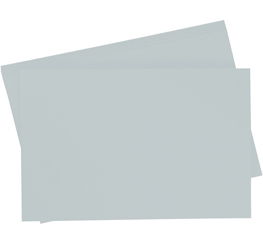 [0657#MZ] Getint papier 130g/m², 50x70cm, 10 vellen, zilver