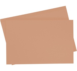 [065799#72] Folia Tekenpapier gekleurd, 10 vellen, 50 x 70cm, 130gr., Lichtbruin (72)