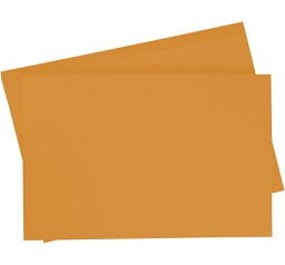 [065799#76] Folia Tekenpapier gekleurd, 10 vellen, 50 x 70cm, 130gr., Terracotta (76)