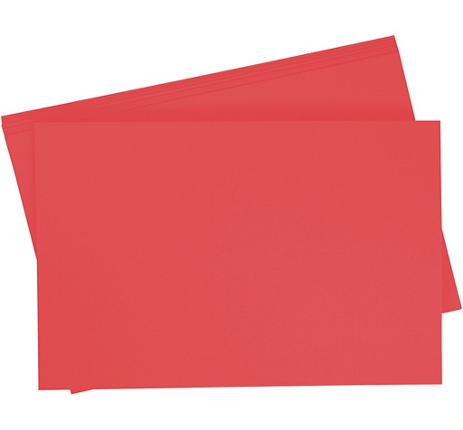 [0657#19] Getint papier 130g/m², 50x70cm, 10 vellen, hibiscus