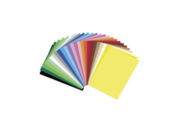 [FOL61229] Folia Tekenkarton gekleurd, 100 vellen, A4, 220gr., Kleurassortiment 10x10