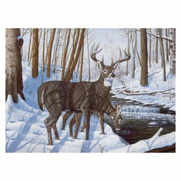 [RB-PAL43] Painting by Numbers 286x390mm Volw, Winter Bliss