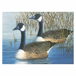 [RB-PAL#35] Painting by Numbers 286x390mm Volw, Geese
