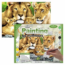 [RB-PJL4] Painting by Numbers 286x390mm, Pride Of Lions