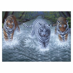 [RB-PJL34] Painting by Numbers 286x390mm, Three Tigers