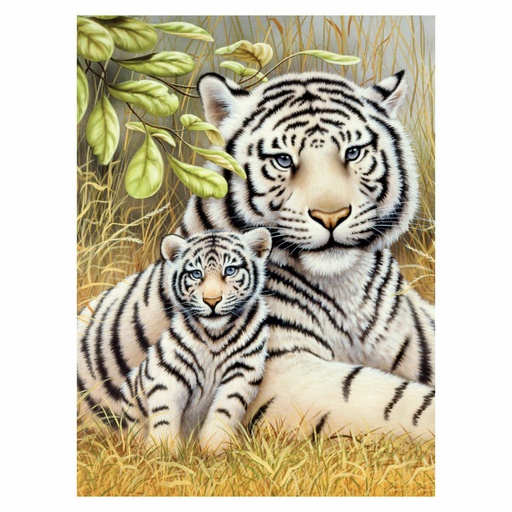 [RB-PJS#76] Painting by Numbers 225x305mm, White Tiger Pair
