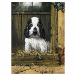[RB-PJS67] Painting by Numbers, 225x305mm, Spaniel Puppy