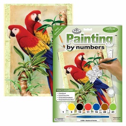 [RB-PJS#38] Painting by Numbers 225x305mm, Bamboo Parrots