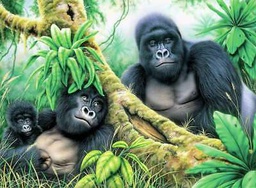 [RB-PJL46] Painting by Numbers 286x390mm, Mountain Gorillas