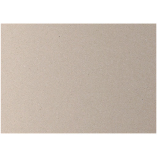 [CR21999] Papier cartonné, 70x100 cm, ép. 3 mm, 2200 gr, 10 flles/ 1 Pq.