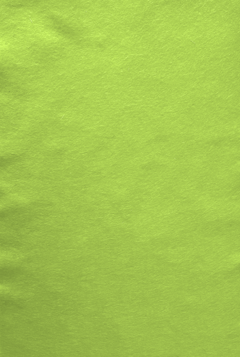 [2833#131] Feutre de bricolage (40% laine), plaquette 20cm x 30cm, épaisseur 1,5mm, Vert clair