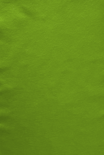 [2833#132] Feutre de bricolage (40% laine), plaquette 20cm x 30cm, épaisseur 1,5mm, Vert clair