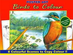 [WF1020#06] Kleurboek 30X23cm, 8 in te kleuren prenten, "Birds"